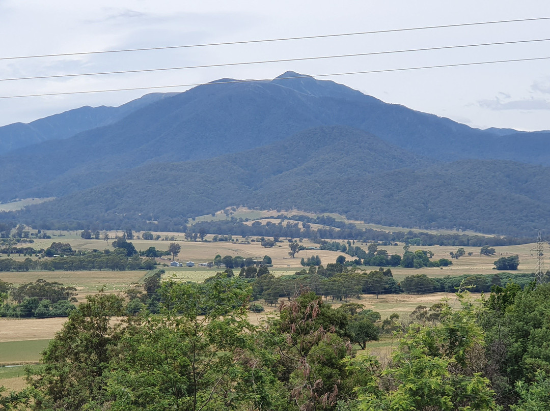 Mount Bogong Lookout景点图片