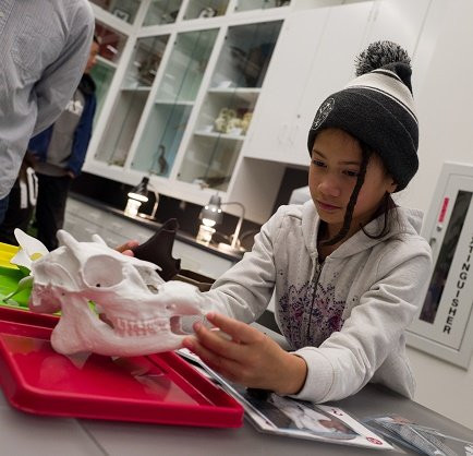 University of Michigan Museum of Natural History-安娜堡必去景点