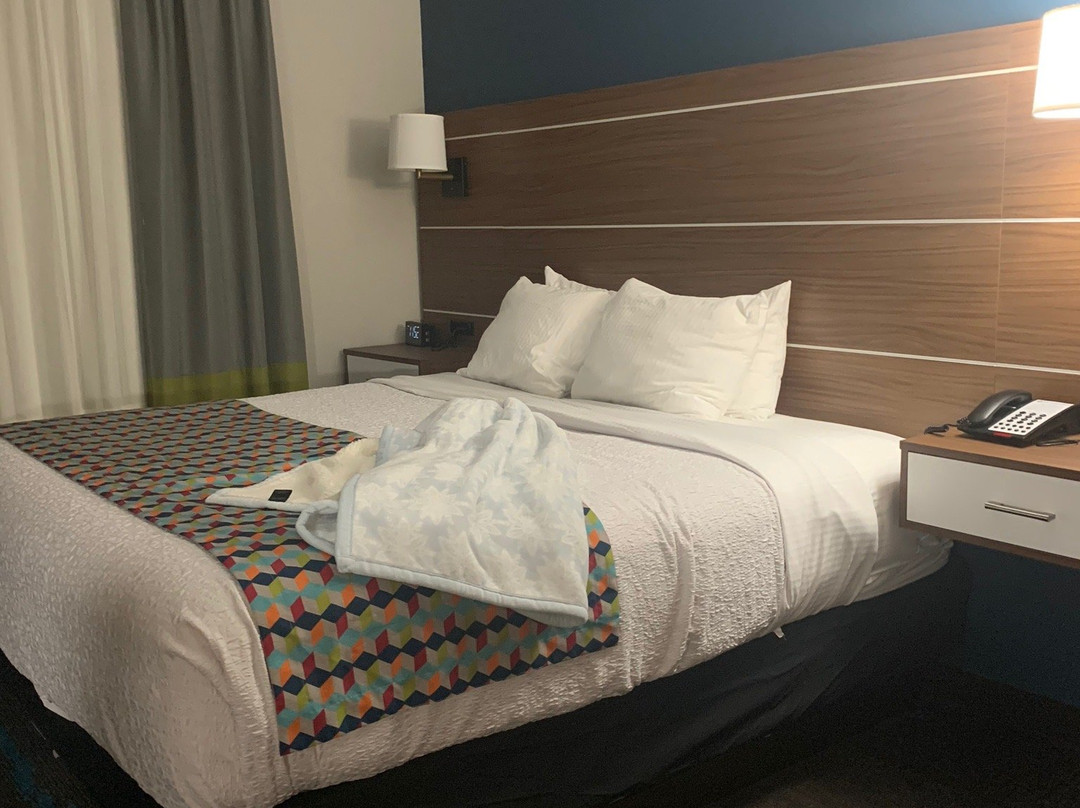 Best Western Plus Medical Center Hotel主图