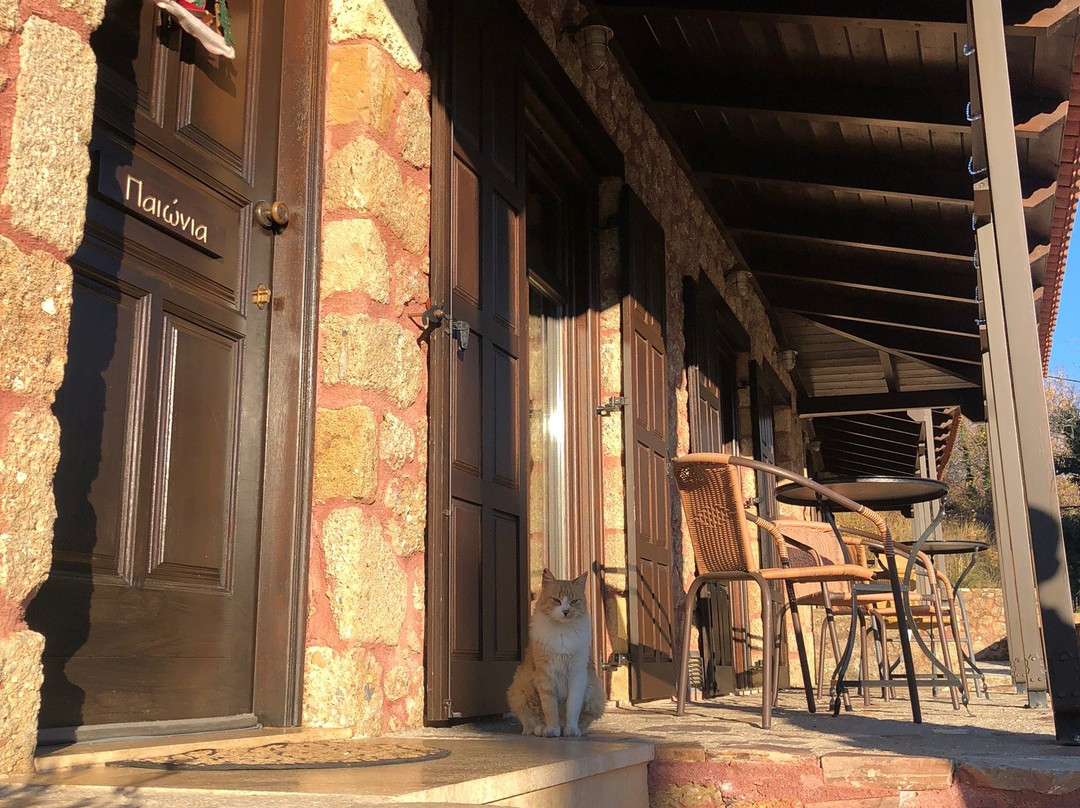 Paliokastro Guesthouse主图