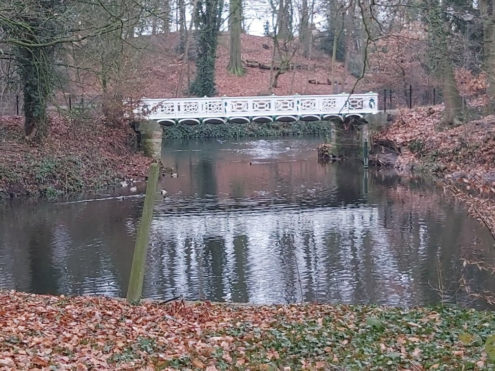 Boekenbergpark景点图片