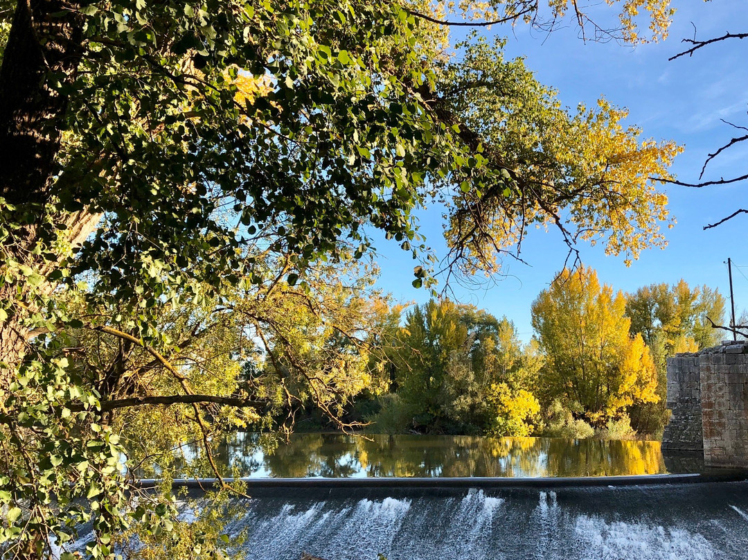 Rio Duero  Rutas  y Sendas景点图片