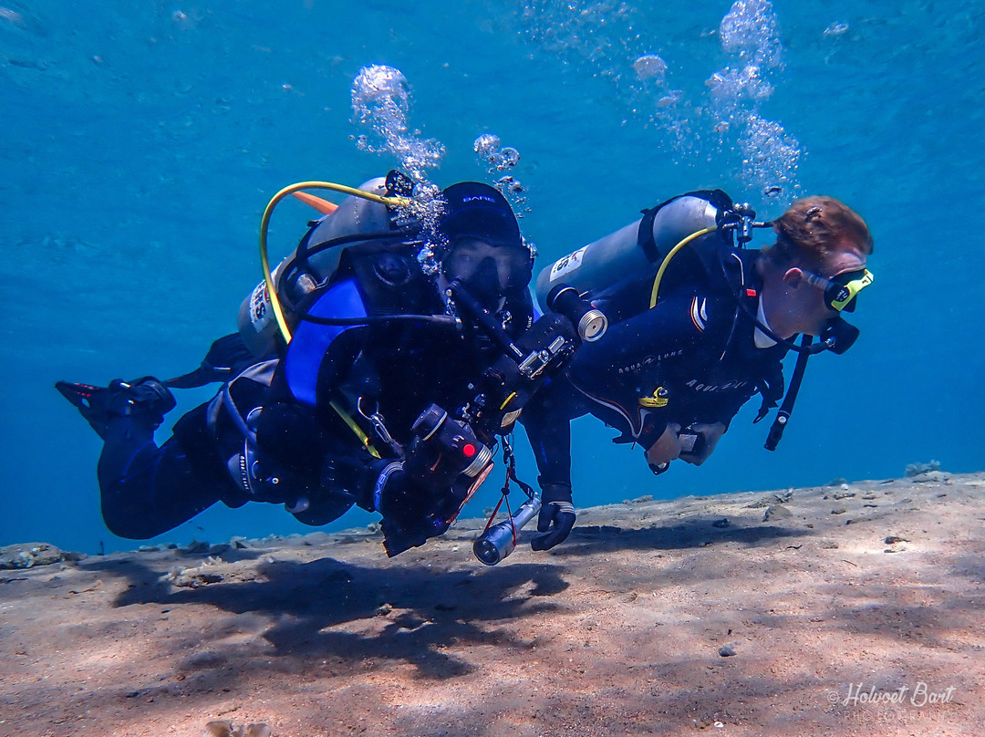 Lighthouse Divecenter-达哈卜必去景点