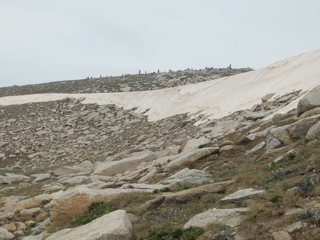Summit Walk/Main Range Trail景点图片