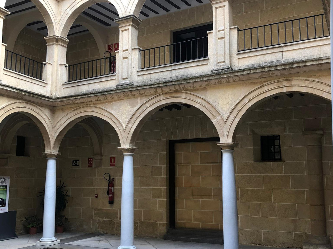 Palacio Abacial - Museo Arqueologico景点图片