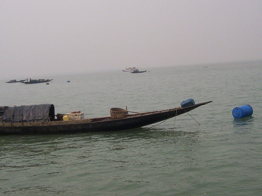 Sundarban Wild Safari景点图片