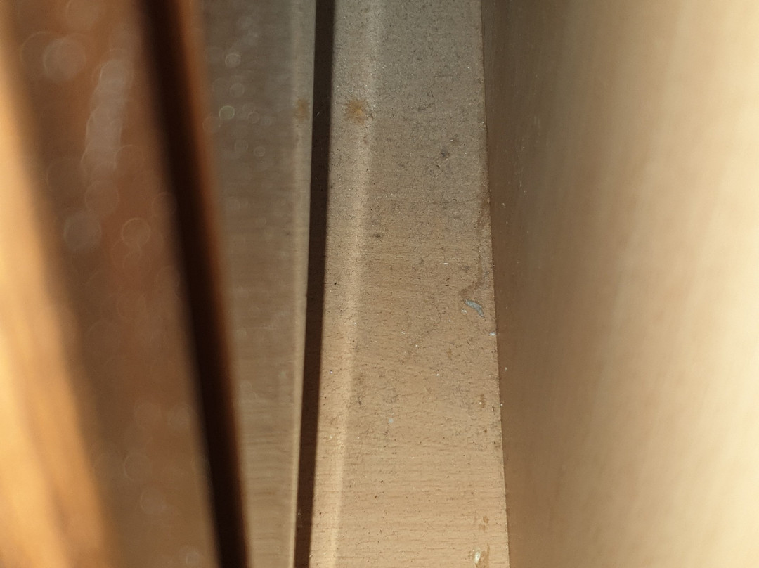 Arabella Motor Inn主图