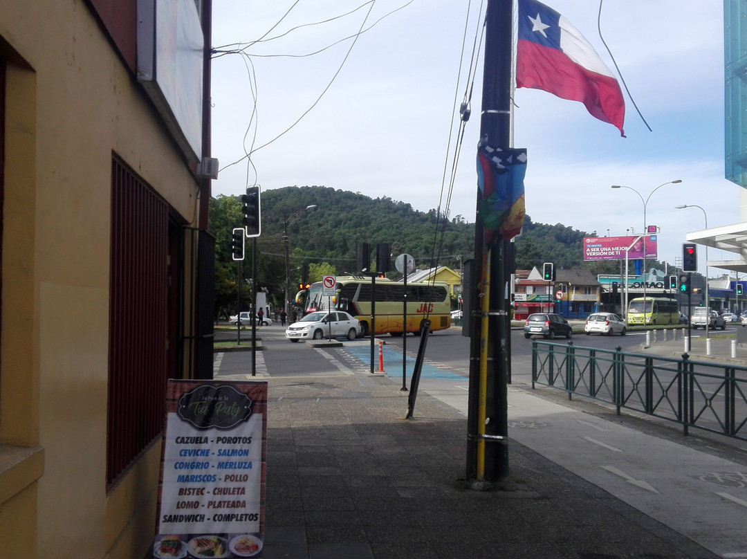 Monumento Natural Cerro Ñielol-特木科必去景点