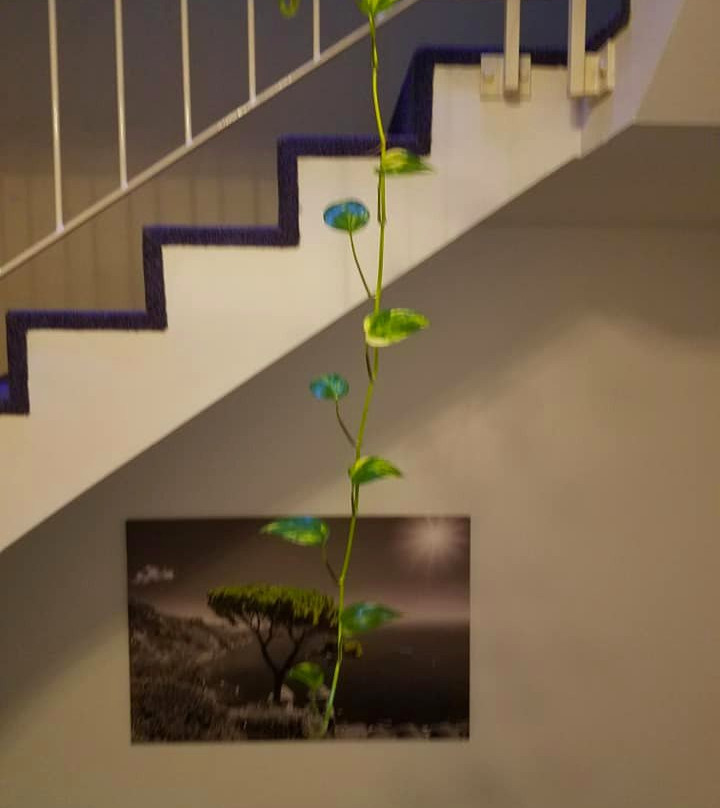 Schloss Hotel Landstuhl主图