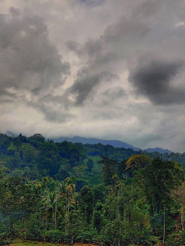 Wayanad Travel Guide - Day Tours-卡尔贝塔必去景点