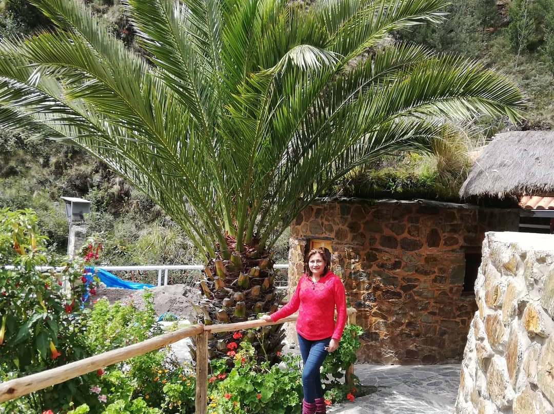 Aguas Termales de Lares-Lares必去景点