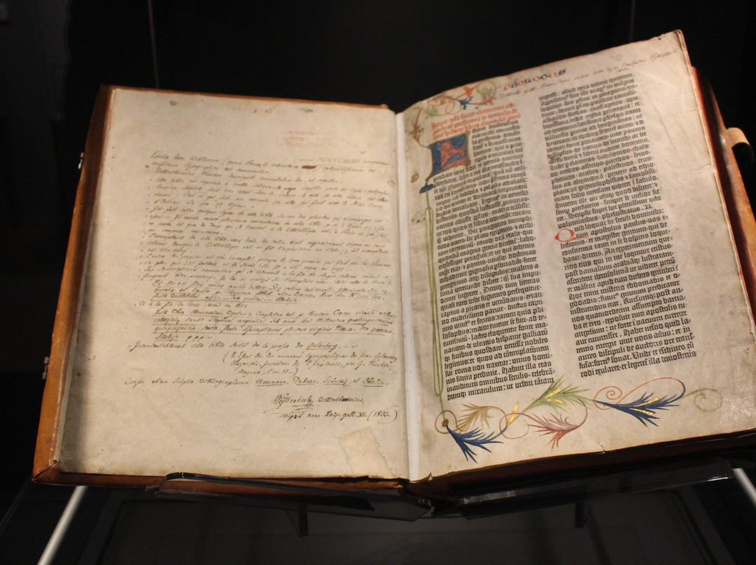 Municipal Library Treasury (Schatzkammer der Stadtbibliothek)-特里尔必去景点