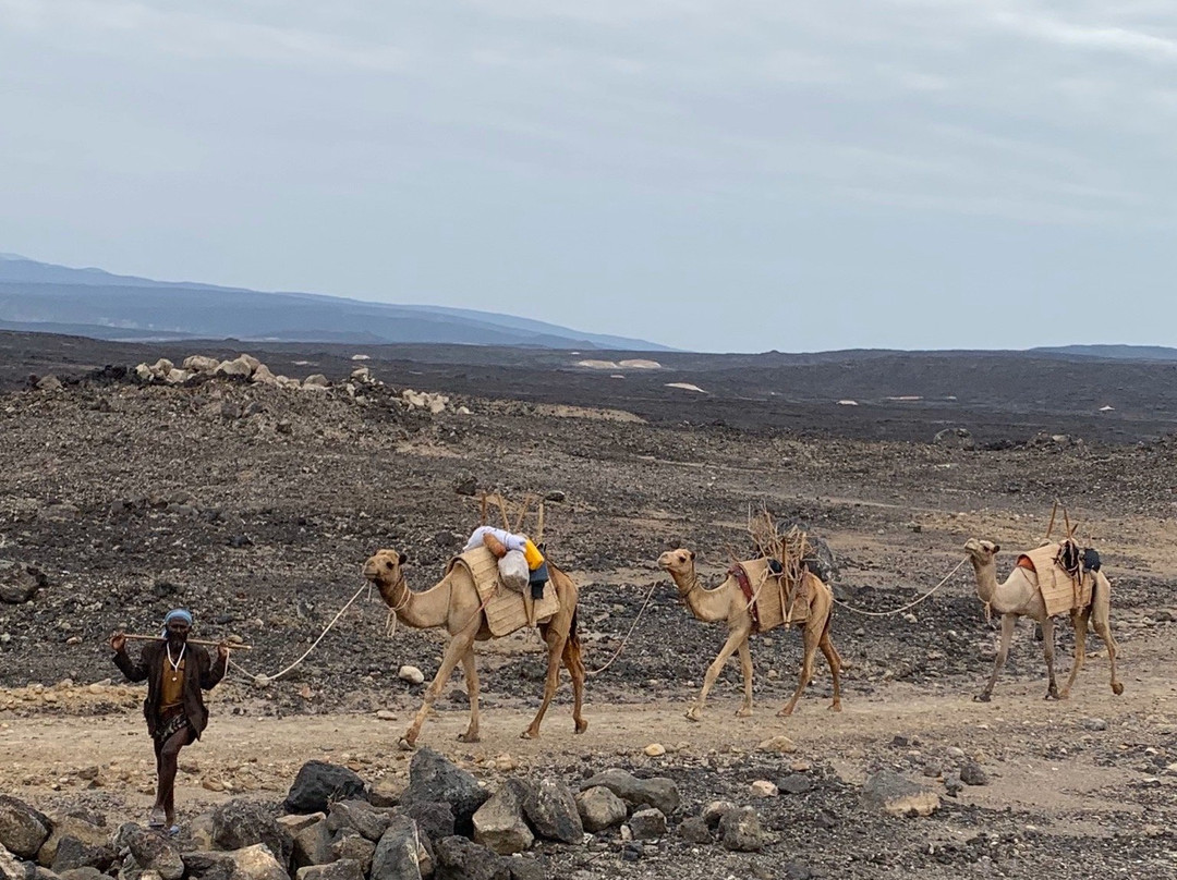 DJIB TOUR & TRAVEL-Tadjoura必去景点