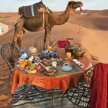 Visitar Desierto-瓦尔扎扎特必去景点