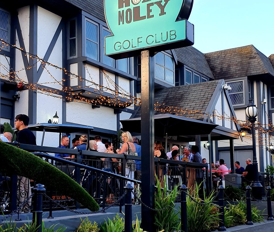 Holey Moley Golf Club Northbridge-珀斯必去景点