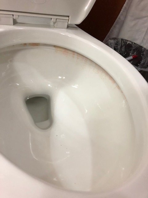 Best Western Plus KC Speedway Inn & Suites主图