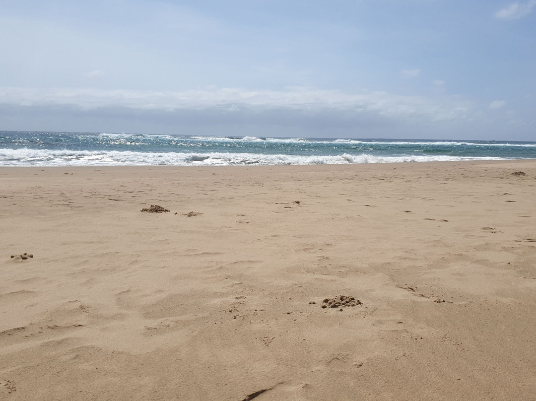 Mtunzini Beach-马图纪尼必去景点