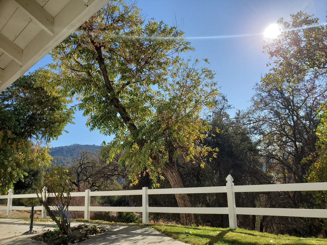 猎犬牙酒店主图