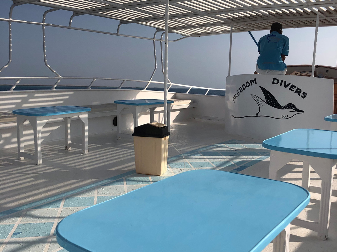 Freedom Divers Safaga-Port Safaga必去景点