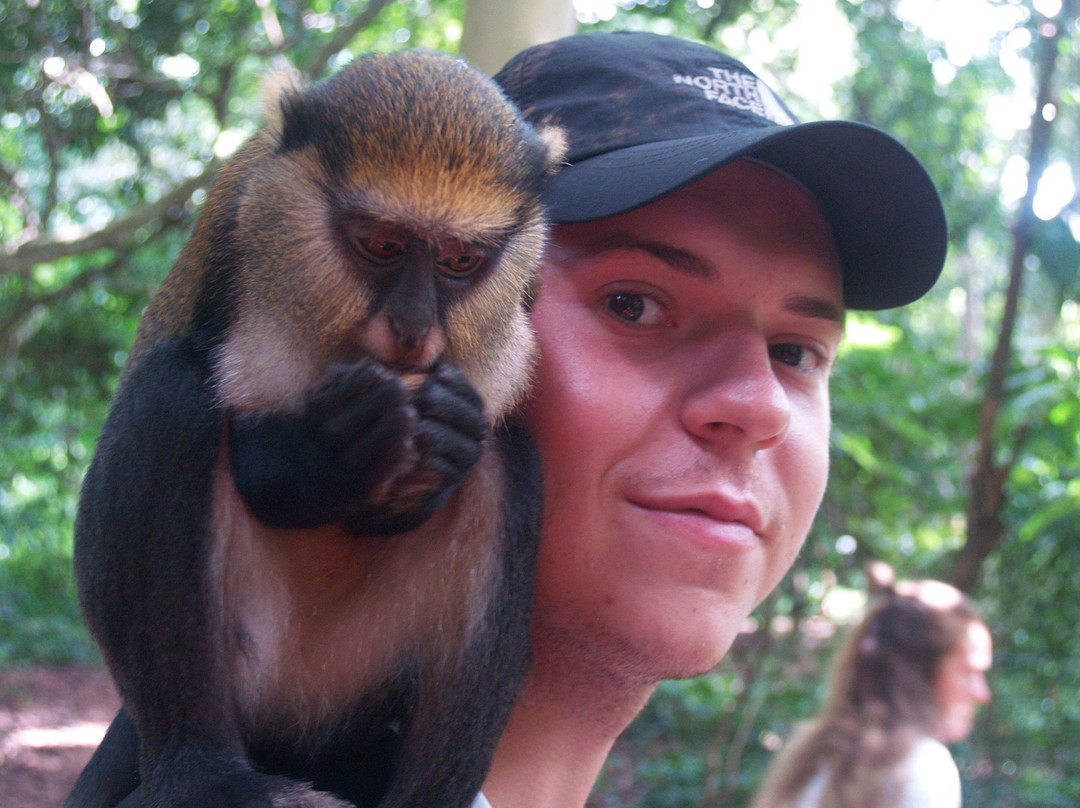 Star Tours Ghana-Cape Coast必去景点