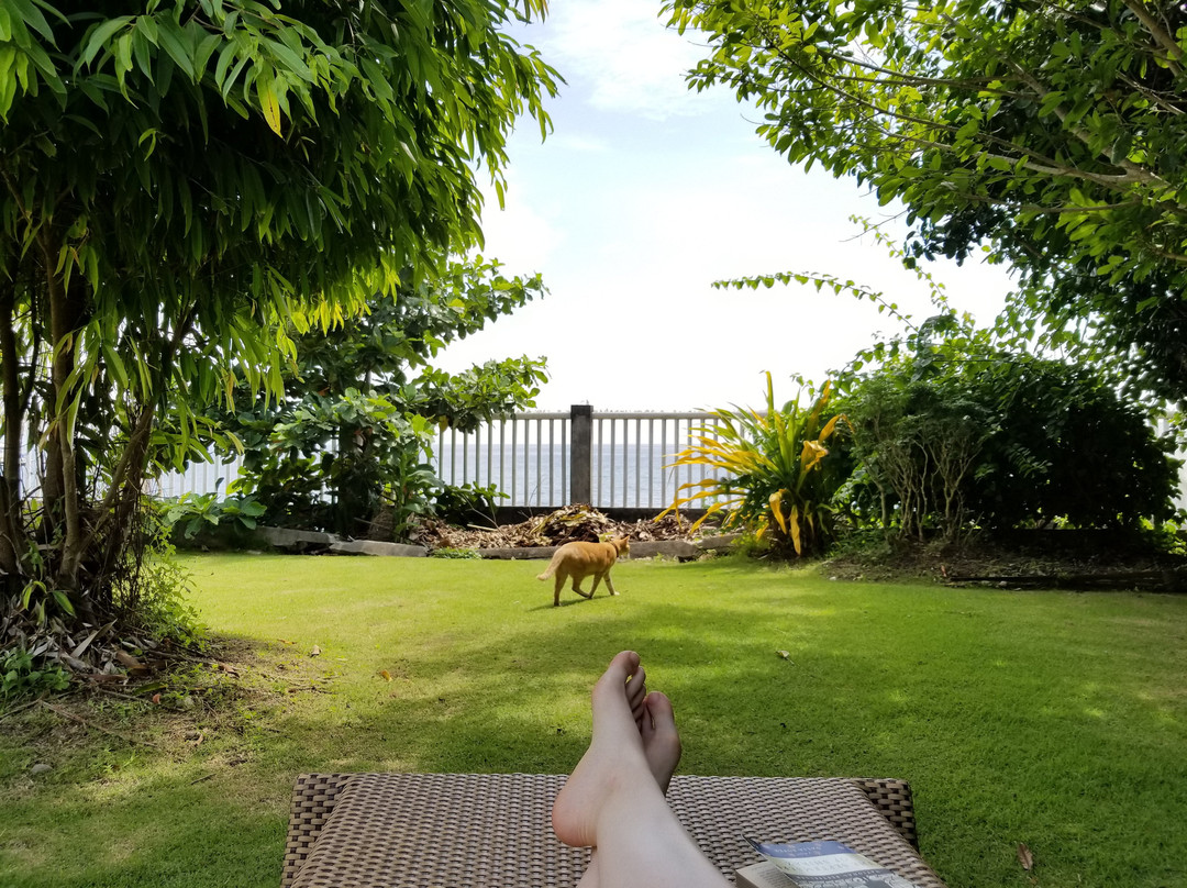 潜水度假村主图