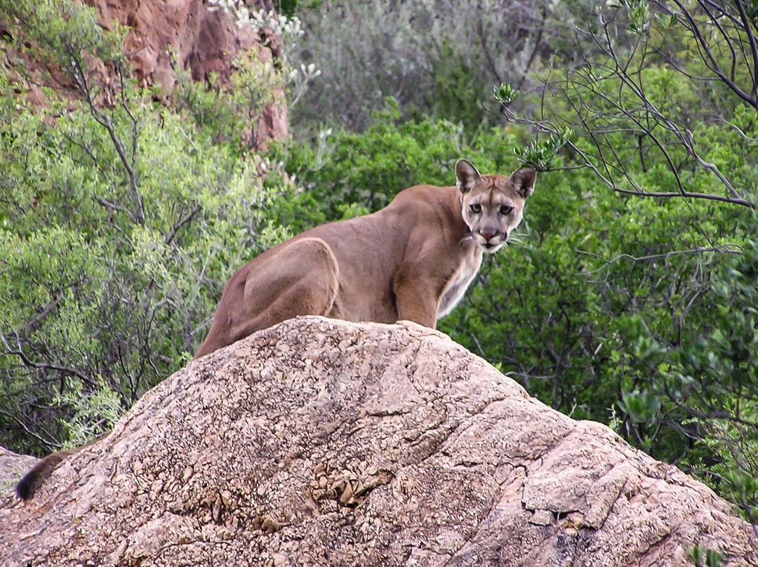 Big Bend Birding & Photo Tours-Terlingua必去景点