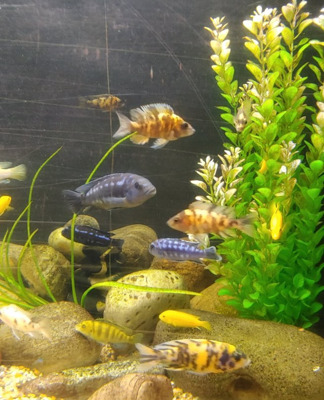 East Idaho Aquarium景点图片