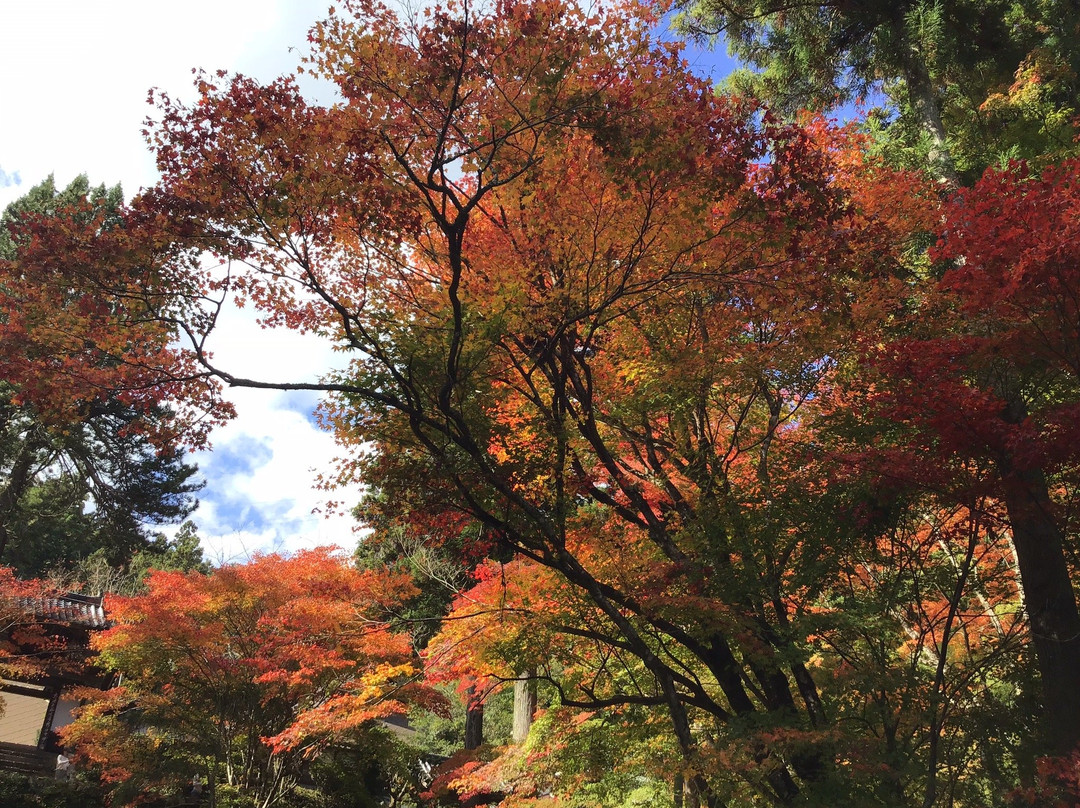 Ryuonji Temple-南丹市必去景点