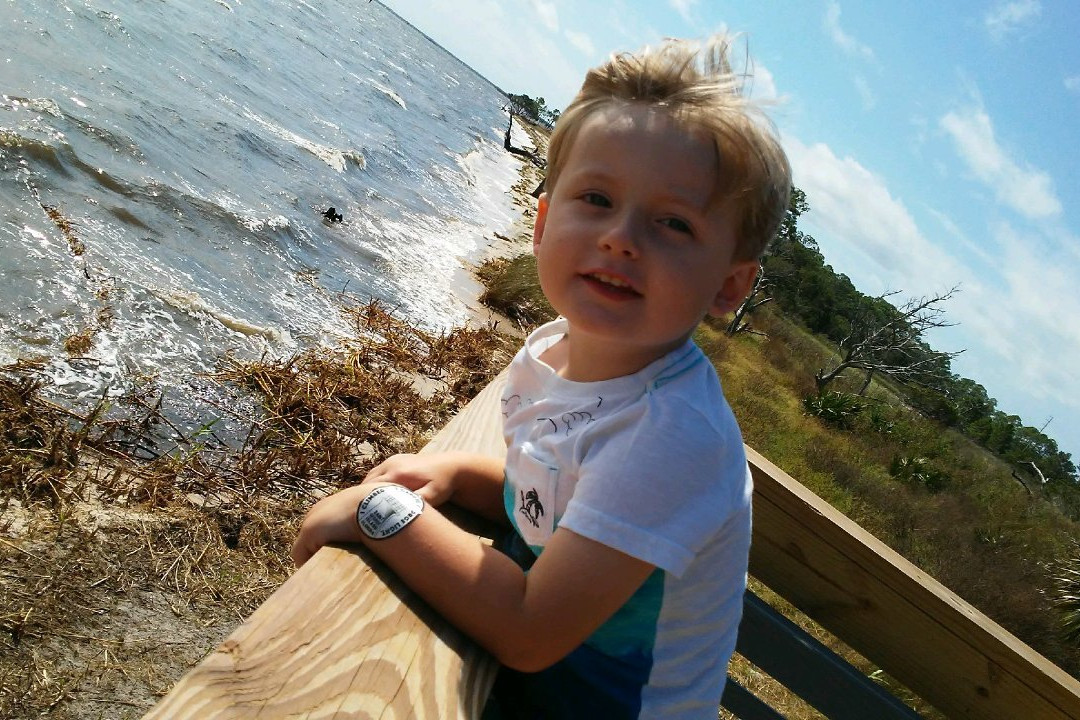 Apalachicola National Estuarine Research Reserve景点图片