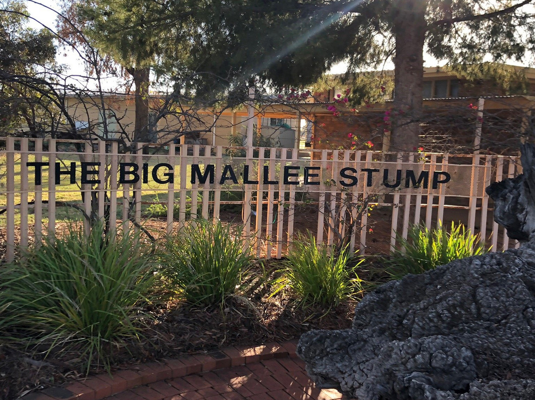 Blackburn Park-Ouyen必去景点