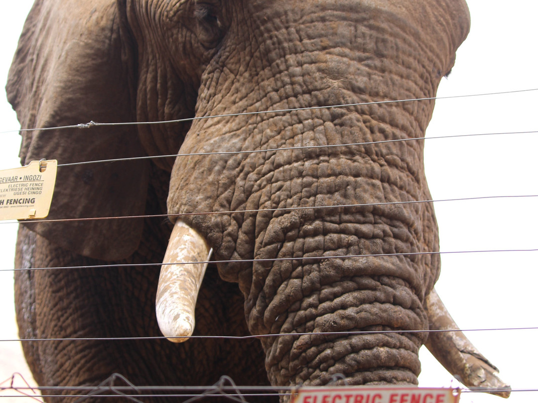 巴库蓬布什旅馆主图