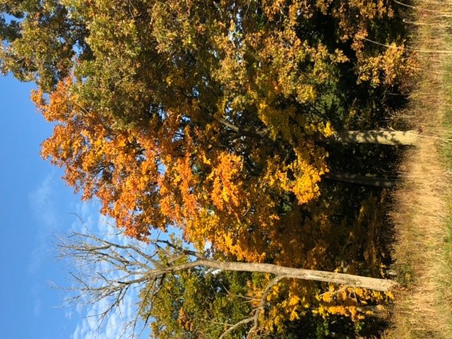 Fort Sheridan Forest Preserve-Lake Forest必去景点