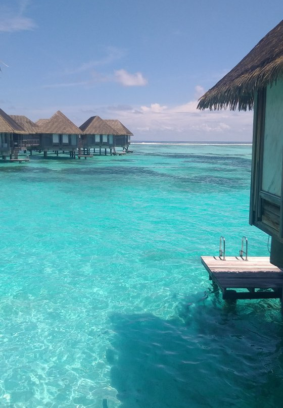 卡尼翡诺岛酒店住宿-卡尼岛地中海俱乐部