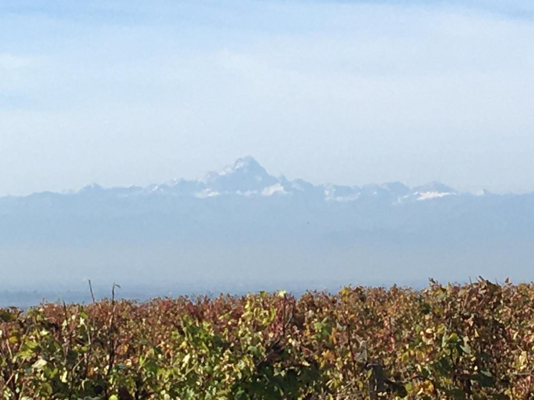 Gabriella Tesio - Inpiemontecon-都灵必去景点