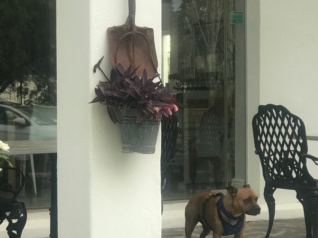 Cape Karoo Guesthouse主图