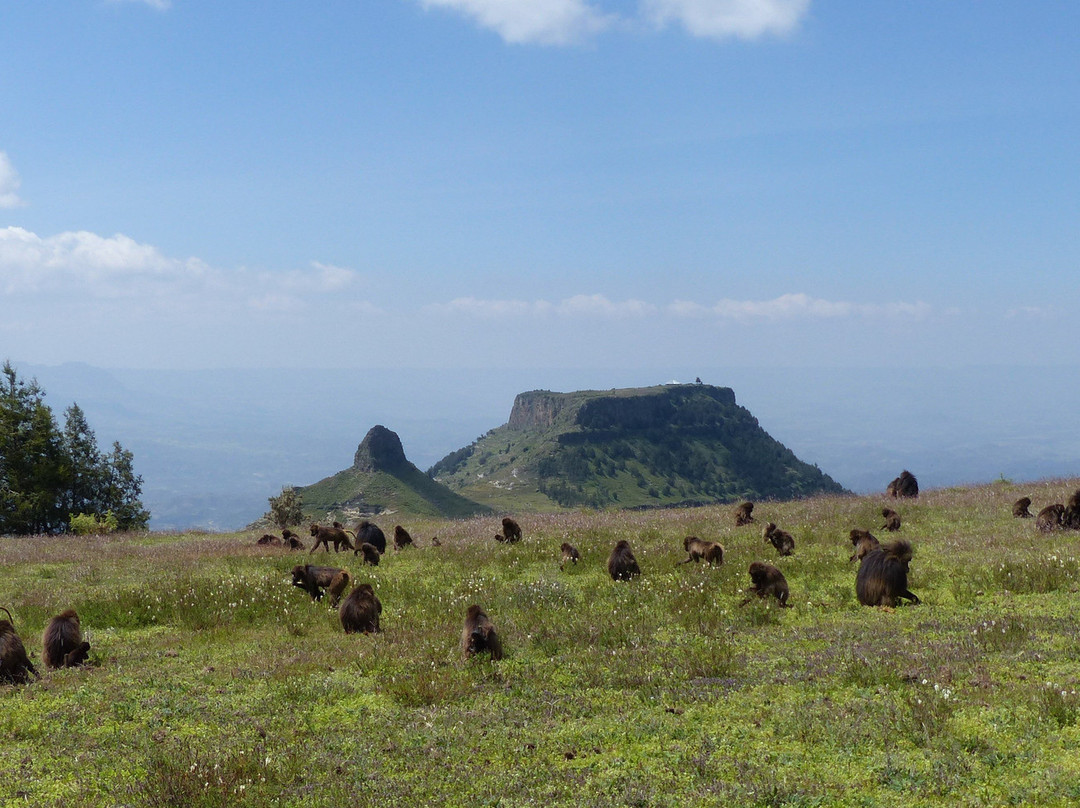 Lalibela Eco Tours - Ethiopia景点图片