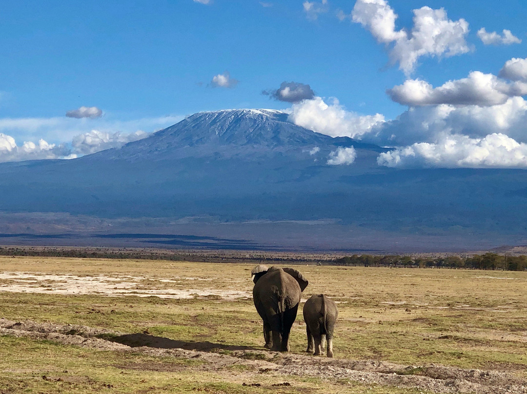 East Africa Adventure Tours and Safaris-马赛马拉国家野生动物保护区必去景点