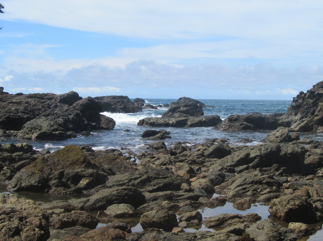Playa El Almejal-Bahia Solano必去景点