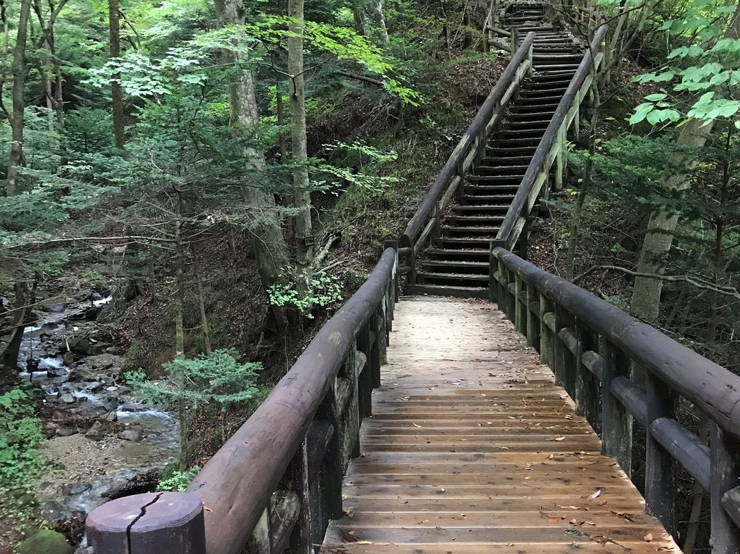 Mikaeri Suspension Bridge-那须盐原市必去景点