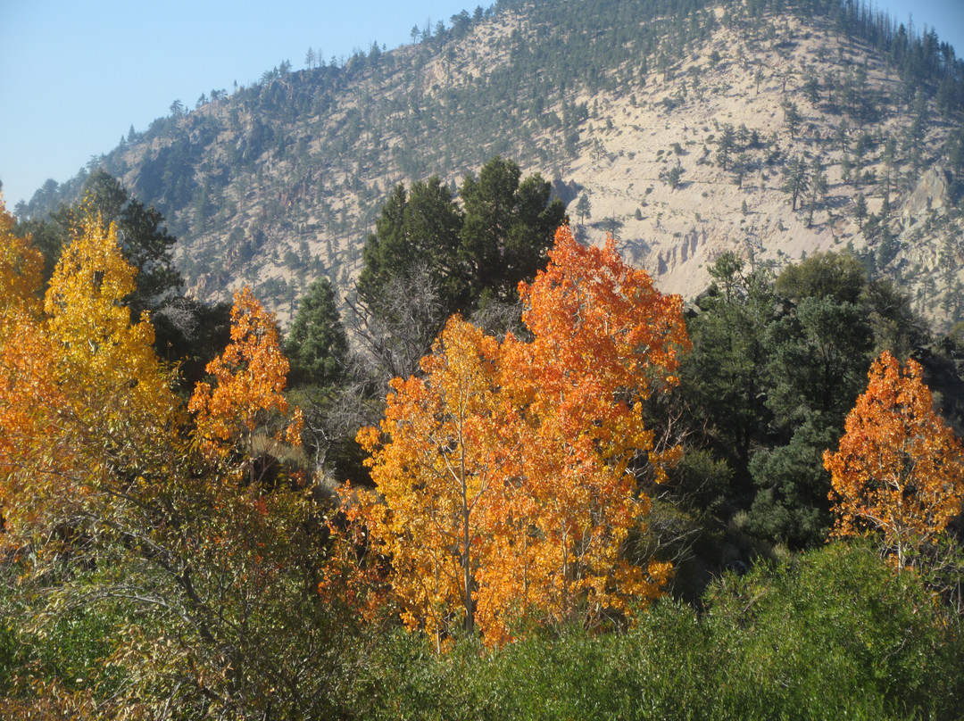 Toiyabe国家森林-斯帕克斯必去景点