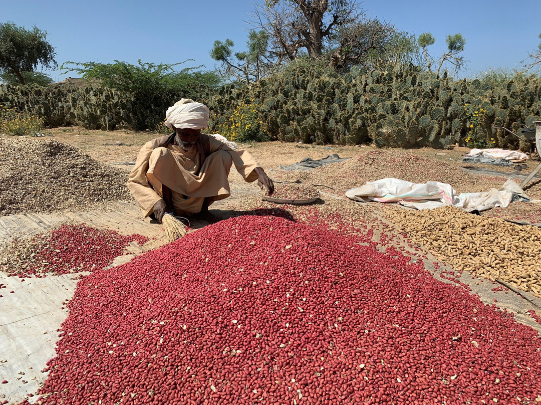 Mariam Dearit Shrine-Keren必去景点