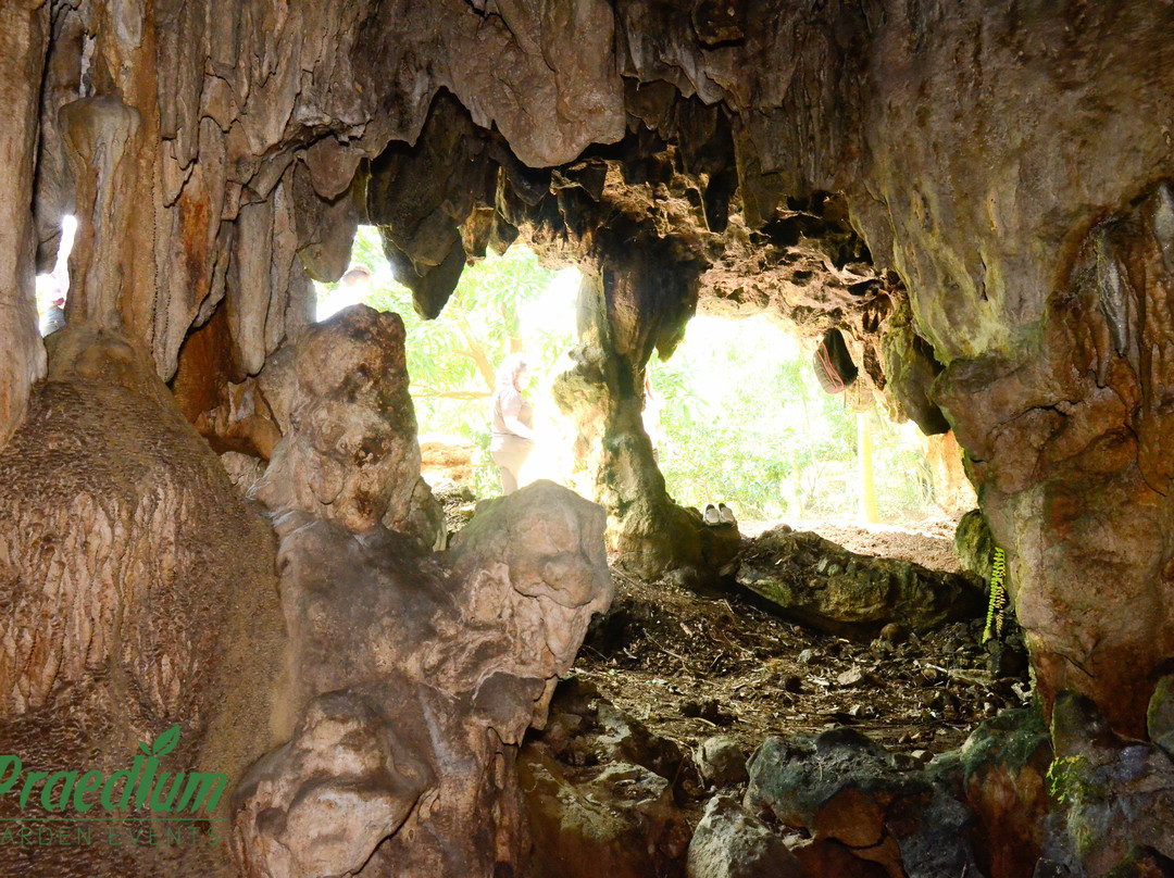 La Cueva del Eden景点图片