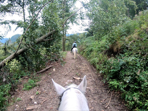 Life Adventures-布莱德必去景点