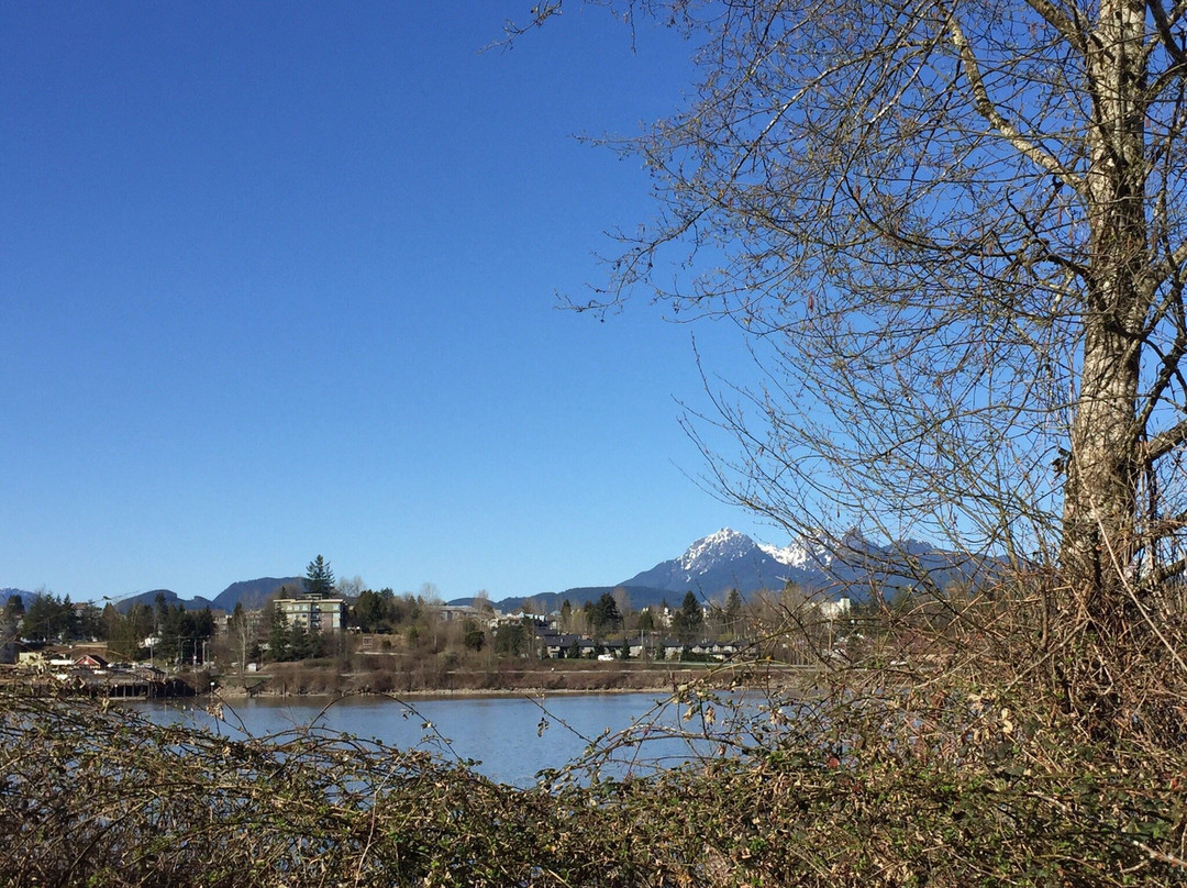 Derby Reach Regional Park景点图片