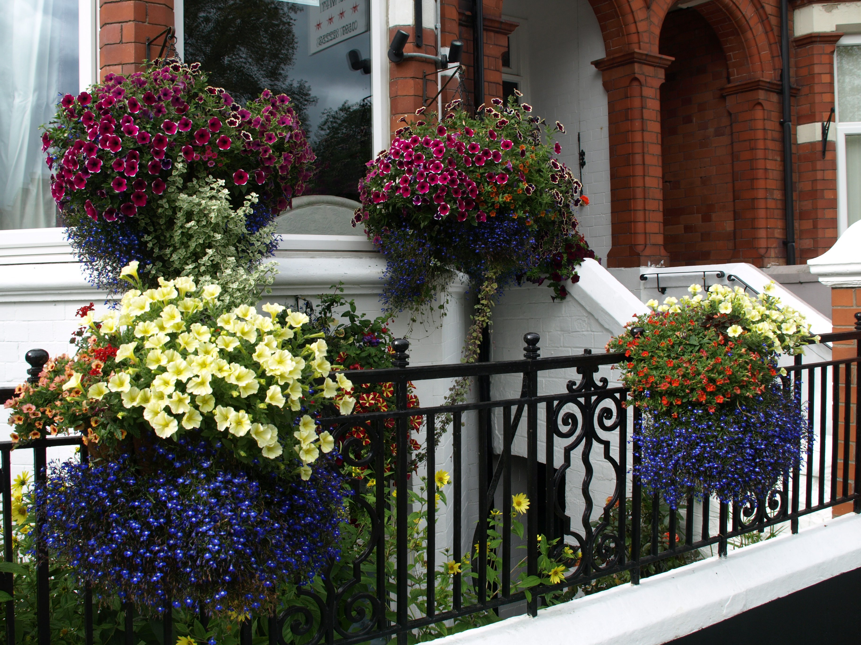 Greylands Guest House-浴室