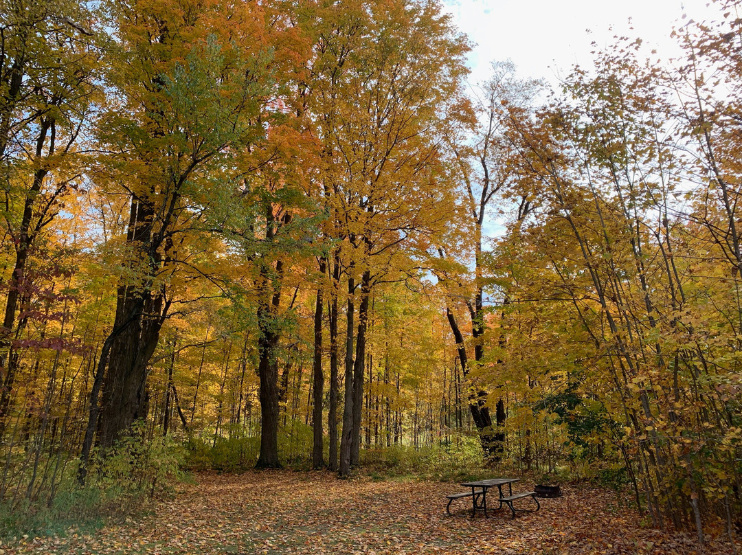 Earl Rowe Provincial Park-Alliston必去景点