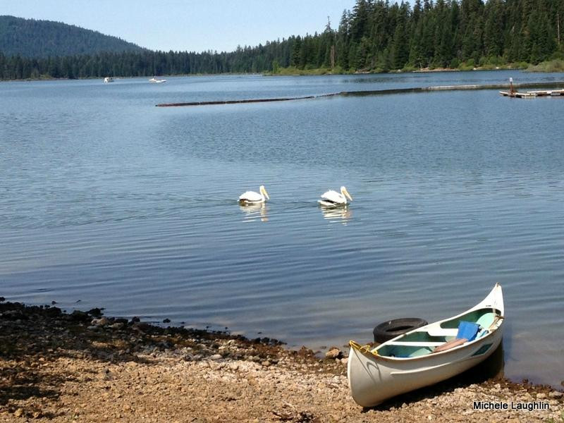 Fish Lake Resort-Eagle Point必去景点