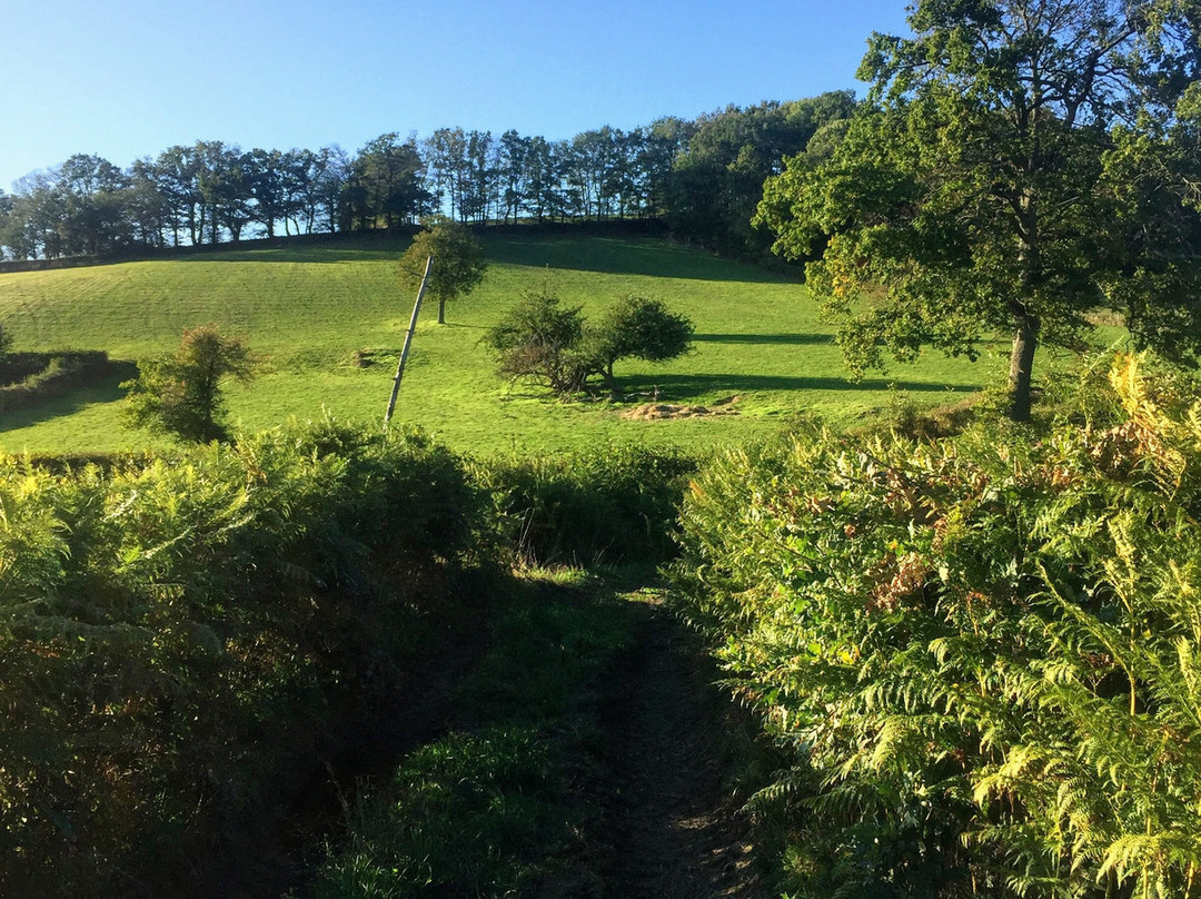 Le Cuisinier en Combraille主图