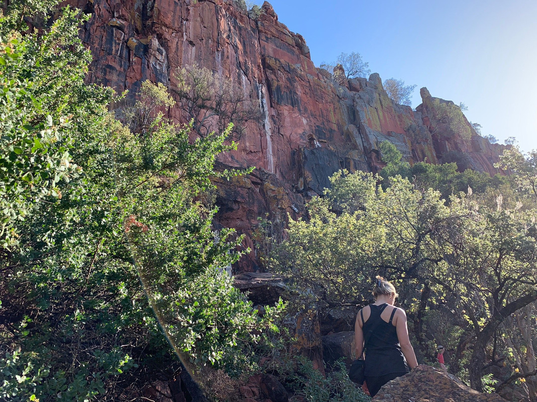 Waterberg National Park-奥奇瓦龙戈必去景点