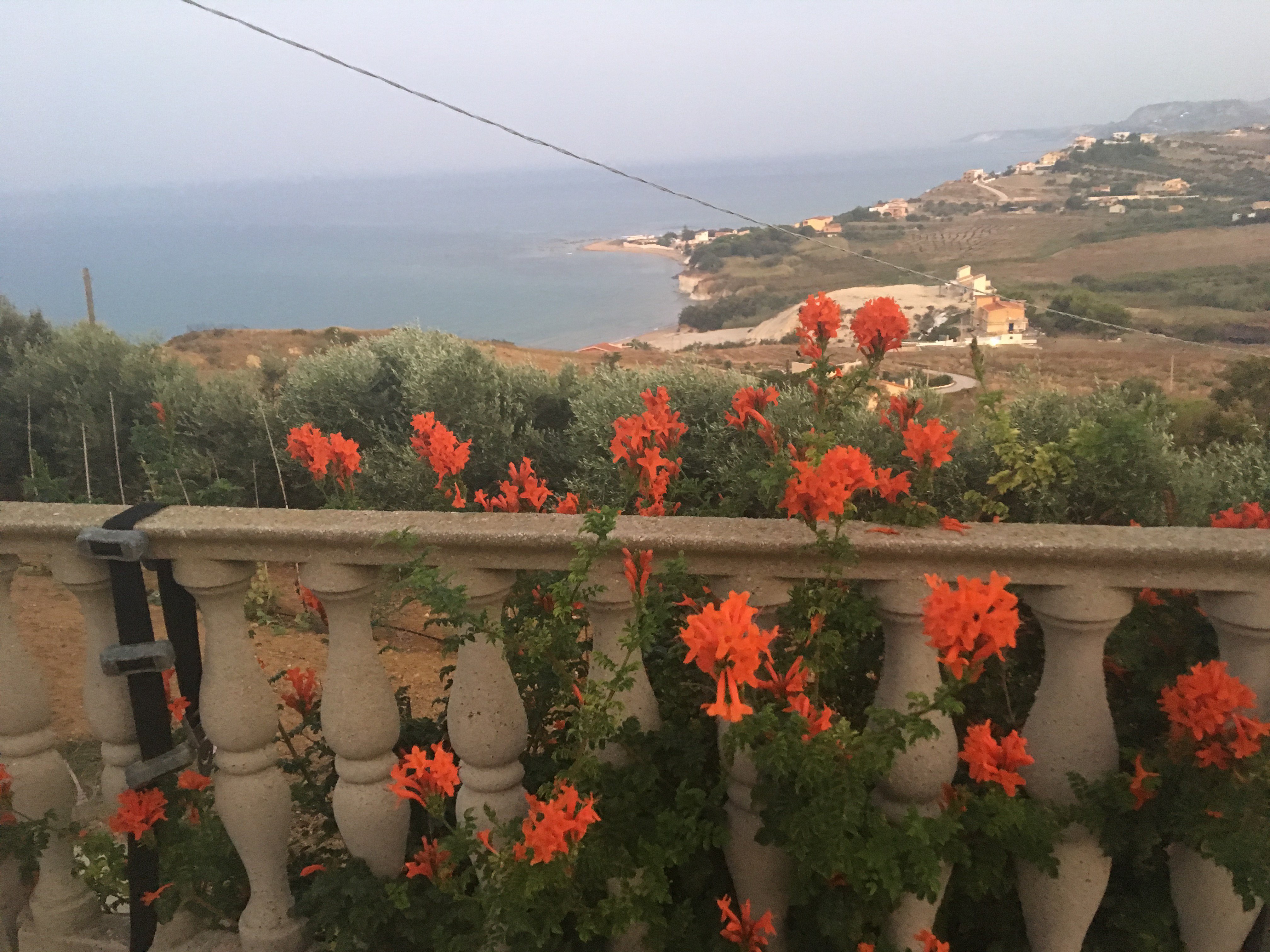 B & B Monterosso-酒店景观